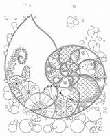 Coloring Pages Shell Ocean Fibonacci Nautilus Fish Mandala Color Getdrawings Plants Fantasy Printable Adult Etsy Books Pt Google sketch template