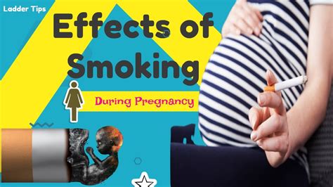 Smoking During Pregnancy Effects Of Smoking 2020 Youtube