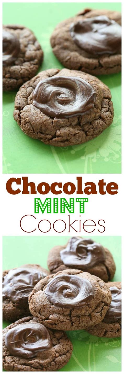 chocolate mint cookies tastes   thin mint girl scout cookie