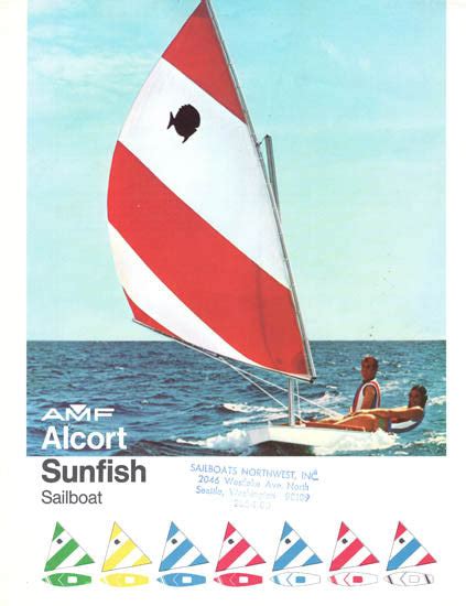 amf alcort sunfish brochure sailinfo  boatbrochurecom