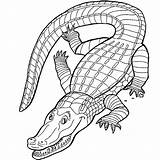 Crocodile Coloriage sketch template