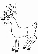 Reno Rentier Rendier Renne Renna Kleurplaat Coloriage Malvorlage Rudolph Imprimir Rudolf Schulbilder Renos Ausmalbilder Rentiere Ausmalbild Imágenes Stampare Guay Renntier sketch template