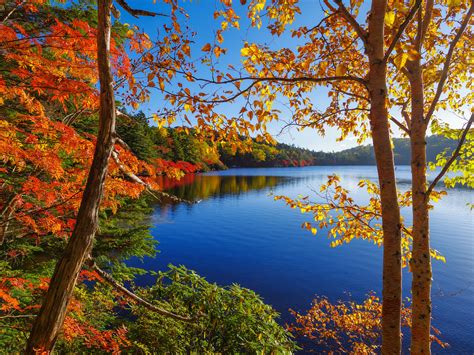 fonds decran photographie de paysage saison automne lac forets nature telecharger photo