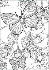 Coloring Butterfly Pages Detailed Nature Intricate Complex Dragon Printable Sheets Getcolorings Getdrawings Color Print Colorings sketch template