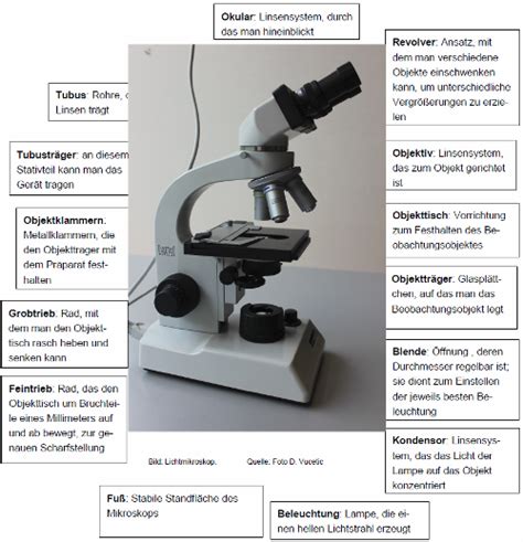 spiral sie sind alphabet mikroskop aufbau und funktion arbeitsblatt