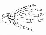Skeleton Hand Template Halloween Printable Pattern Outline Tattoo Hands Drawing Stencils Patternuniverse Easy Drawings Use Stencil Print Crafts Creating Patterns sketch template