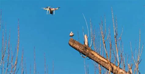 drone    bestdronemag