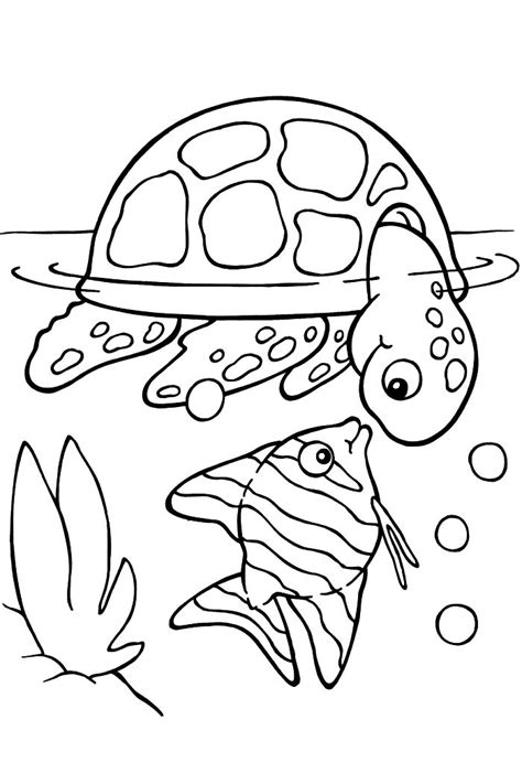 dessins coloriage pour enfant  imprimer gratuitement turtle