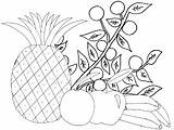 Frutas Colorir Desenhos Risco Prato Fruta Infantis sketch template