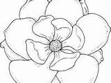 Mississippi Coloring Pages Flowers Flower Painting sketch template