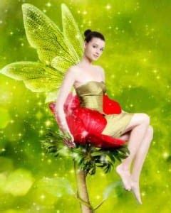 fairies fairynice essentials