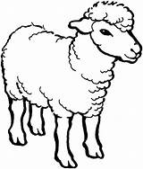 Sheep Coloring Outline Pages Lamb Drawing Male Line Alpha Minecraft Baby Bighorn Printable Color Print Coloringsky Preschool Cartoon Kids Face sketch template