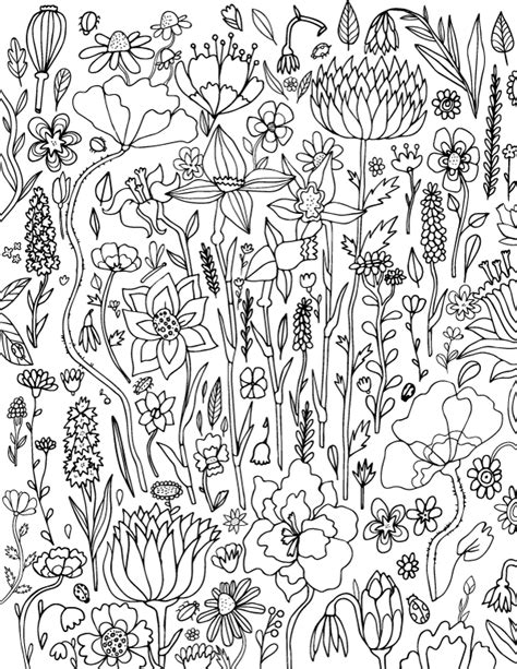 printable spring flower adult coloring page
