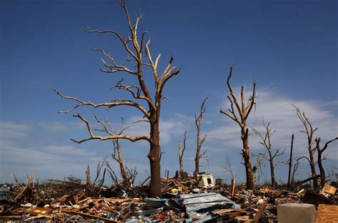 Destruction Of Joplin Mo Seen In Its Trees The New York Times