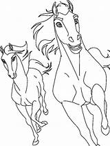 Stallion Corcel Malvorlage Caballo Pferde Lineart Imagensemoldes Pferd Caballos Indomable Indomavel Riding Malvorlagen sketch template