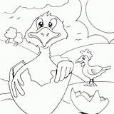 Hatching Coloring Chick Mau Tranh Finished Cho Seipp Dave Drawn sketch template