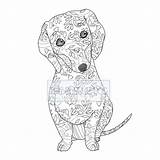 Dachshunds sketch template