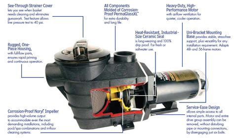 parts   pool pump motor