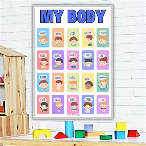 fun body parts activities  preschoolers including labeling posters