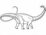 Apatosaurus Coloring Pages Historic Pre Animal sketch template