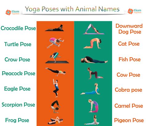 animal names yoga poses image temal
