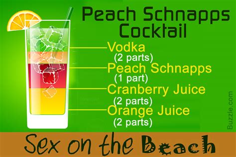 10 Popular Peach Schnapps Mixed Drink Recipes That Ll