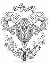 Coloring Aries Pages Zodiac Signs Printable Adult Adults Coloringgarden Pdf Printables Ram Colouring Color Gemini Sign Print Book Drawing Sheets sketch template