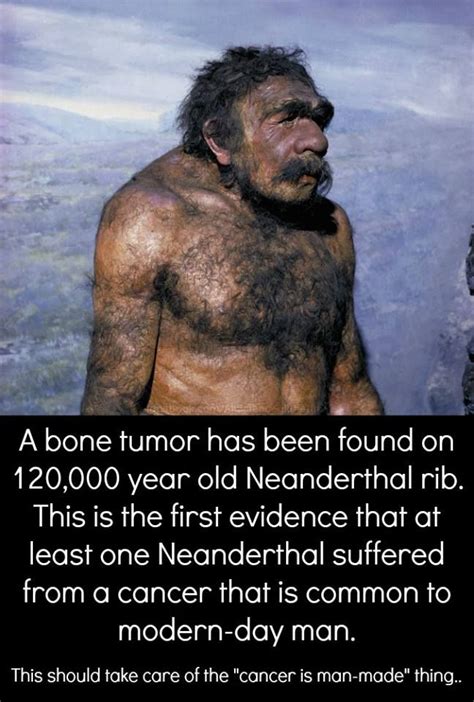 124 best root race red neanderthal thule images on pinterest human evolution psychic