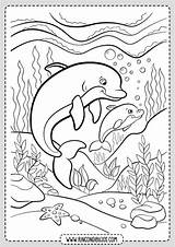 Delfines Rincondibujos Paisajes Navegación sketch template