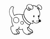 Cachorro Cagnolino Piccolo Colorare Perrito Dibujos Pequeño Gosset Cachorros Disegni sketch template