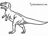Rex Tyrannosaurus Dinosaurios sketch template