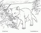 Coloring Pages Wolf Pup Baby Library Clipart Fox Red sketch template