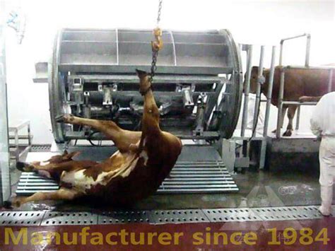 halal rotary killing box cattle  abattoir equipment slaughtering machine halal slaughter