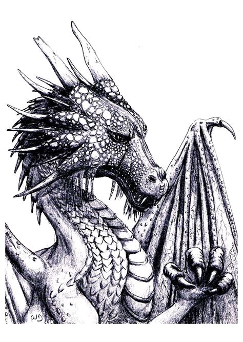 coloring pages  adults dragons coloring pages