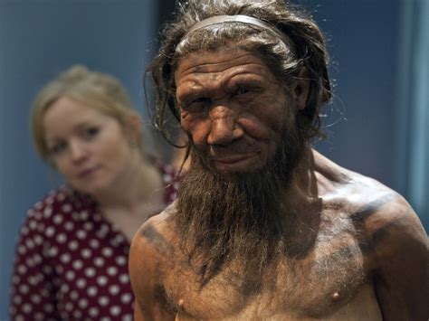 ancient humans interbred with a mysterious archaic