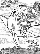 Quiver Shark Coloring Pages Printable App Book Getdrawings Colouring Getcolorings Color Print Drawing Colorings Dover Vol Archives sketch template