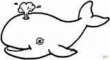Ballenas Baleia Wieloryb Ballena Balena Animados Kolorowanka Niños Preschool Book Printables Mamydzieci Wydruku Mamifero Baleine sketch template