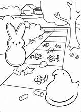 Coloring Peeps Pages Marshmallow Printable Easter Coloring4free Color Print Kids Cartoon Info Book Popular Getcolorings Coloringhome Fun sketch template