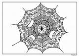 Coloring Zentangle Spinnennetz Spiderweb sketch template