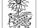 Coloring Kansas Pages Jayhawk Chiefs City Color Getcolorings Freedm sketch template