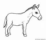 Burro Dibujo Donkey Drawing Line Dibujos Paintingvalley Drawings sketch template