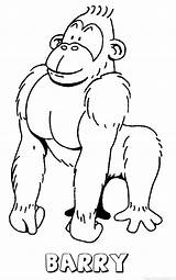 Barry Aap Gorilla sketch template