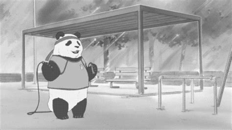 panda exercise s find and share on giphy
