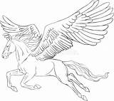 Pegasus Farbtonseite Pferd Sidan Färga Illustrationer Tagel Realistic sketch template