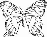 Coloring Pages Butterfly Monarch Butterflies Kids Color Printable Print Animals Colorear Clipart Animal Para Mariposa Drawing Comments Colored Mariposas Adult sketch template