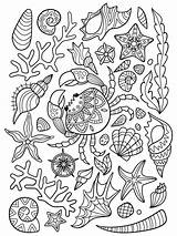 Doodle Kleurende Boekpagina Overzeese θάλασσας βιβλίων σελίδα σχεδίων Coloriage Modèle Griffonnage Garabato Gekritzel Vecteur Marina Irina sketch template
