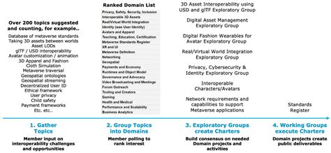 domain group process metaverse standards forum