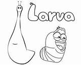 Larva Pages Larve Animation Violet Coloringpagesfortoddlers sketch template