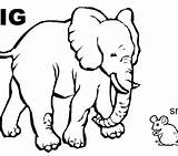 Coloring Pages Opposites Small Big Colouring Getcolorings Color Getdrawings sketch template