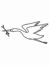 Crane Bird Coloring Pages Branch Beak Its Netart sketch template
